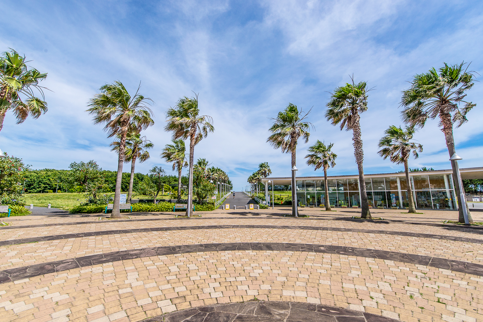 日の出6丁目戸建ジ・アイルズパーム 公園