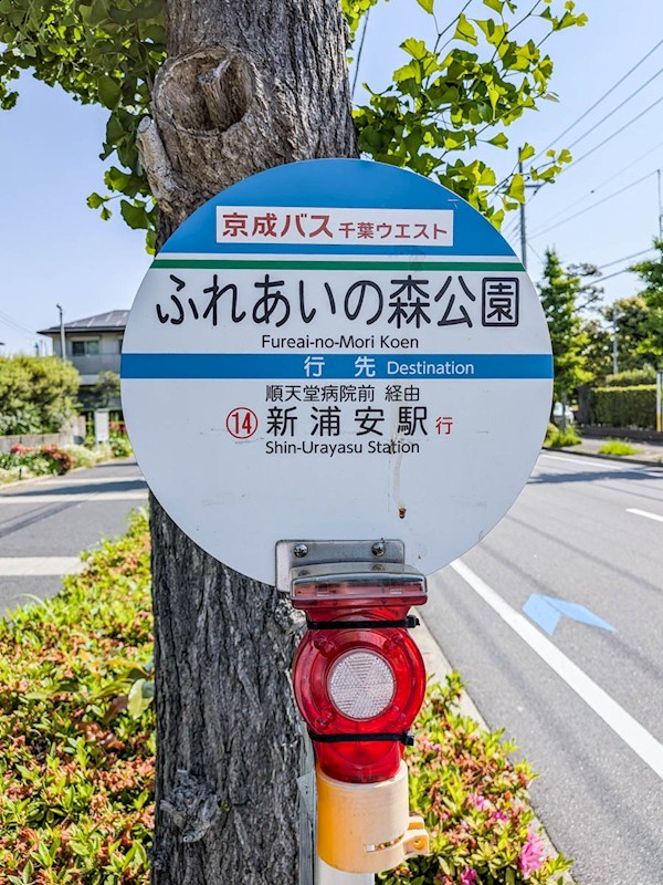 浦安市弁天4丁目新築戸建1号棟 その他