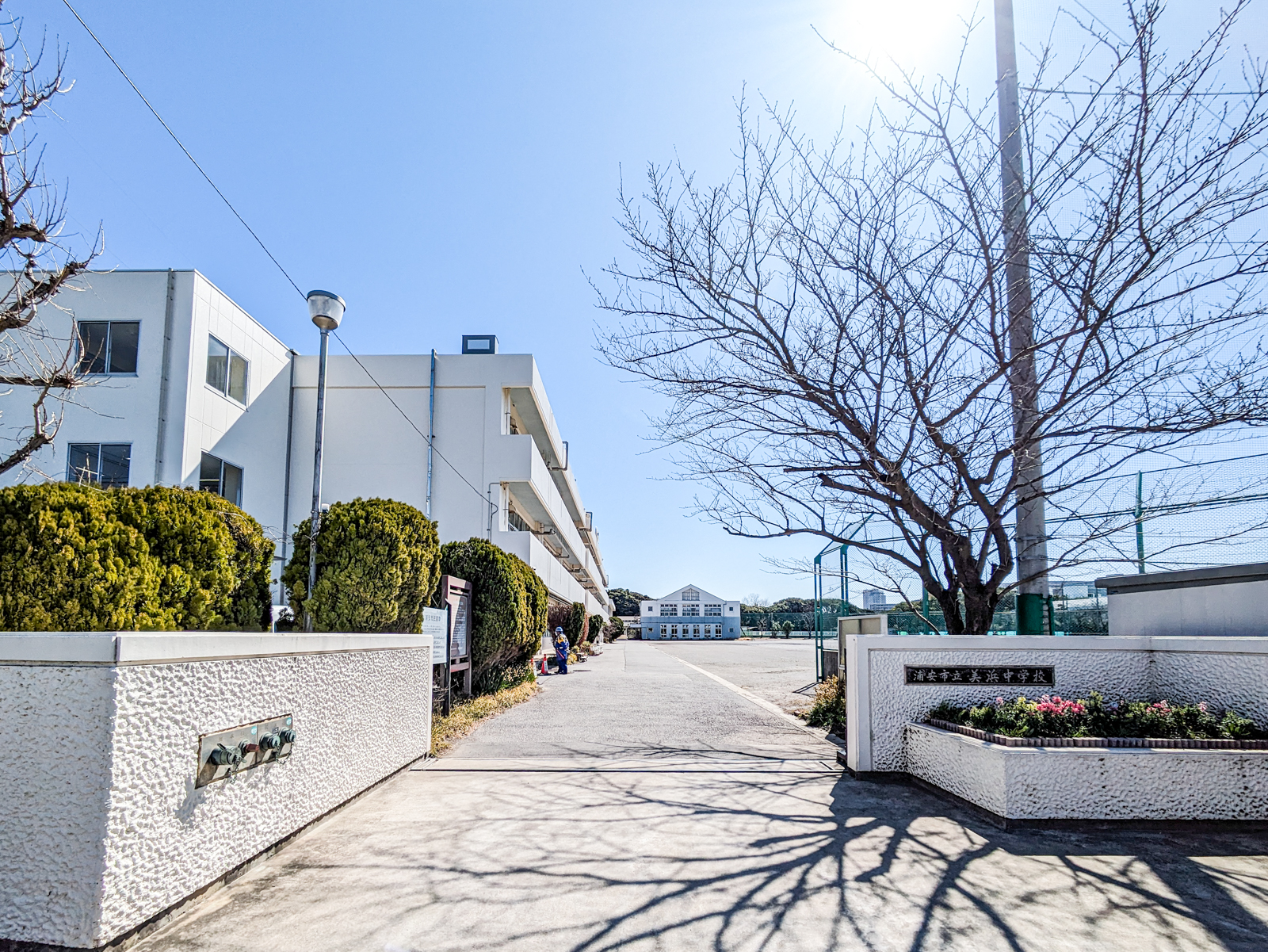 浦安市美浜3丁目戸建 中学校