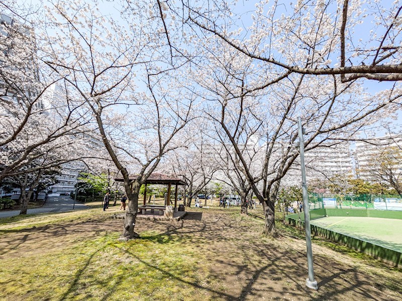 サンコーポ浦安C棟 共用部写真（その他）