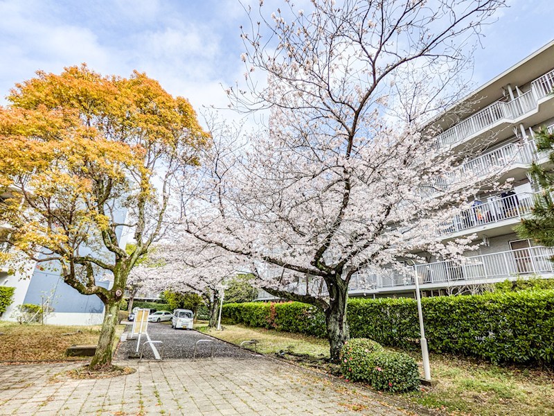 京成サンコーポ浦安2号棟 共用部写真（その他）