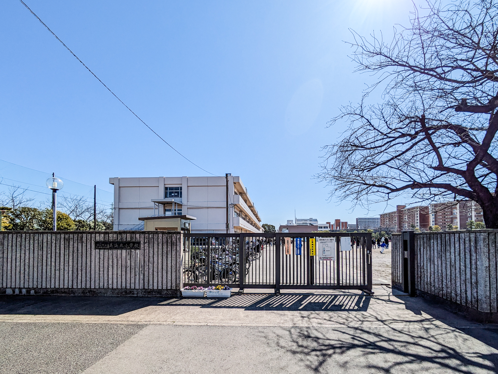 美浜東エステート2号棟 小学校