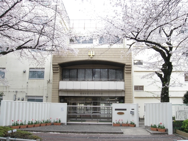 世田谷区下馬4丁目戸建 周辺画像7