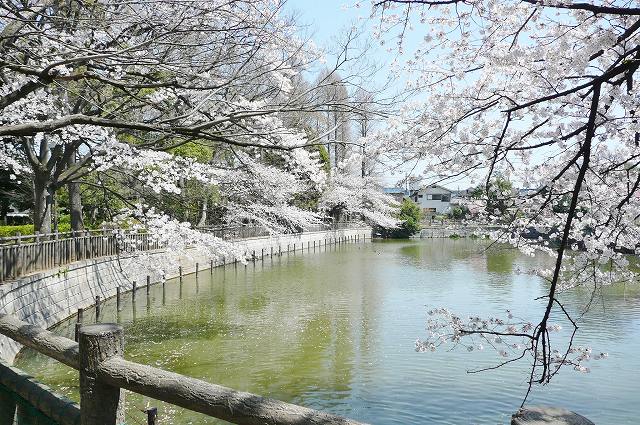 シャンボール学芸大学 周辺画像3