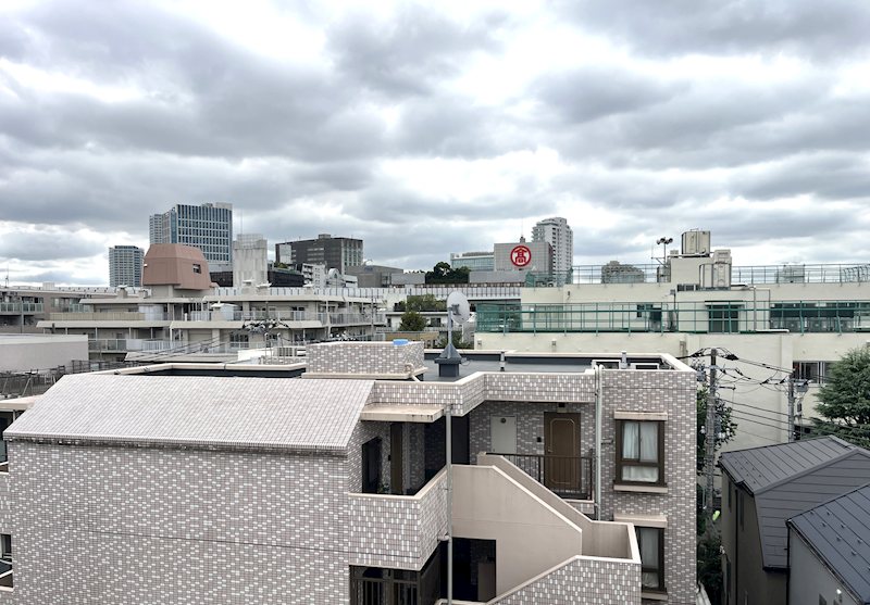 二子玉川ロイヤルマンション その他