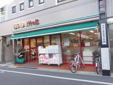 ライオンズマンション世田谷 スーパー