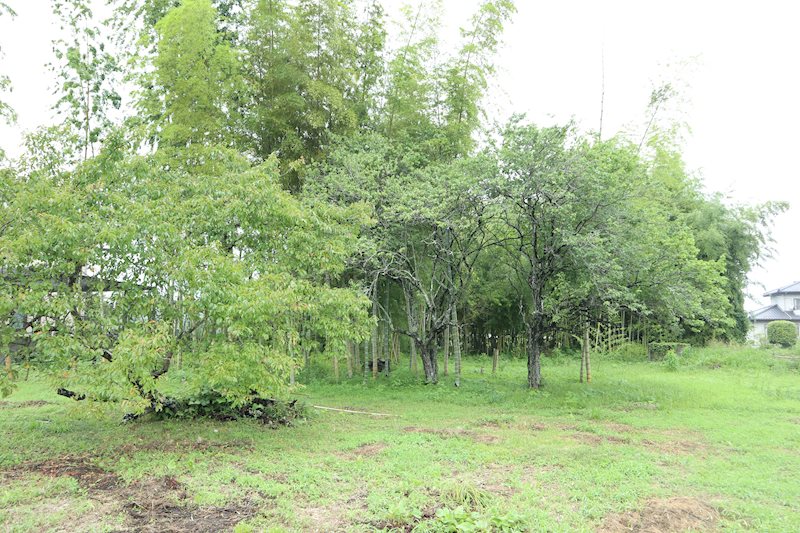 【価格訂正！】南相馬市鹿島区寺内字八幡林　732坪　土地 現地案内図