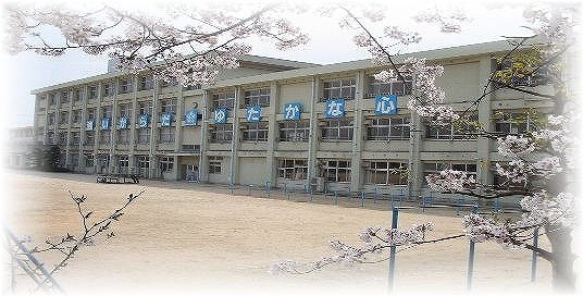 セルリアンステージ倉敷市中畝四丁目≪限定１棟≫ 小学校