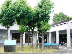 セルリアンステージ倉敷市中畝四丁目≪限定１棟≫ 図書館