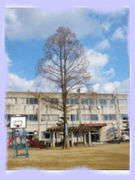 クレイドルガーデン倉敷市玉島阿賀崎第11≪1号棟≫全3棟　新築戸建 小学校