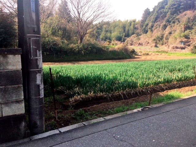 土浦市西真鍋町 現地写真