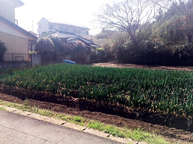 土浦市西真鍋町 現地写真