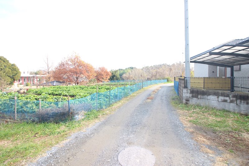 守谷市大柏 B 現地写真（前面道路含む現地写真）