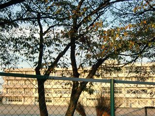 土浦市北荒川沖町　土地 中学校