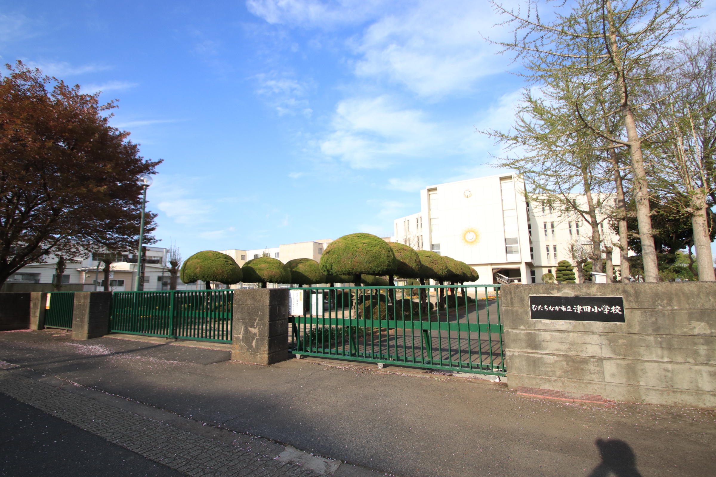 ひたちなか市大字津田 小学校