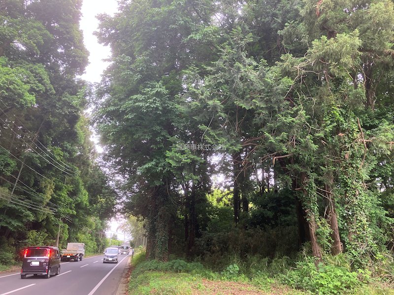 つくば市今鹿島　土地 その他