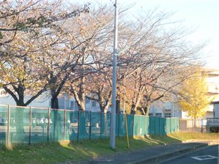 土浦市乙戸南２丁目 小学校