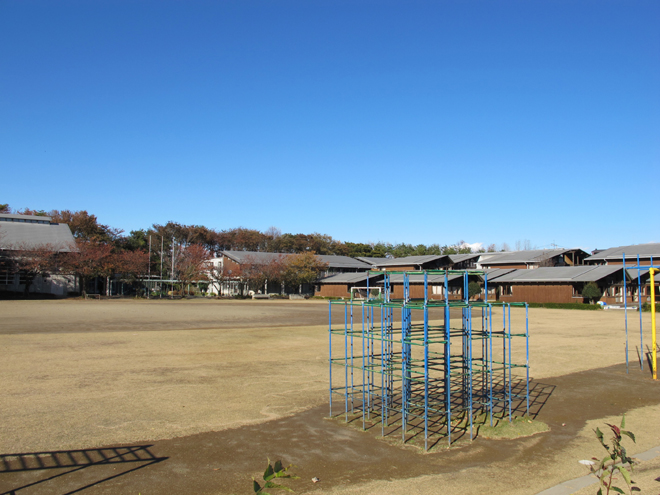 つくば市大角豆 小学校