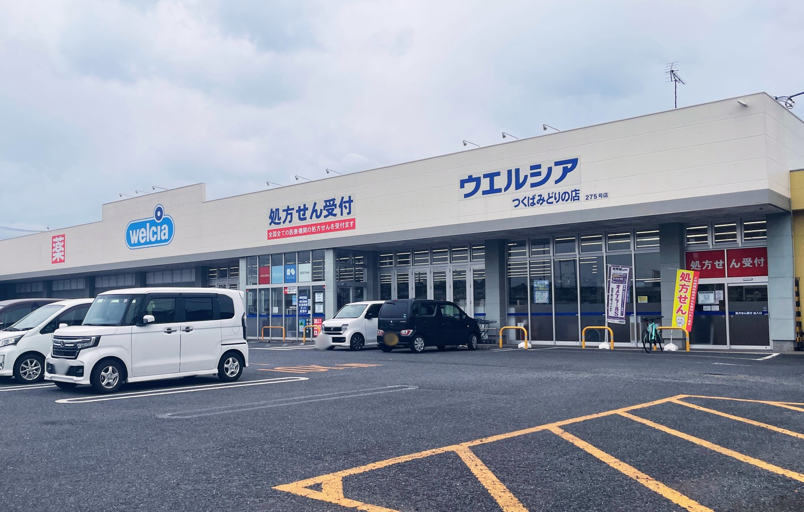エクセレントシティつくばみどりの ドラッグストア
