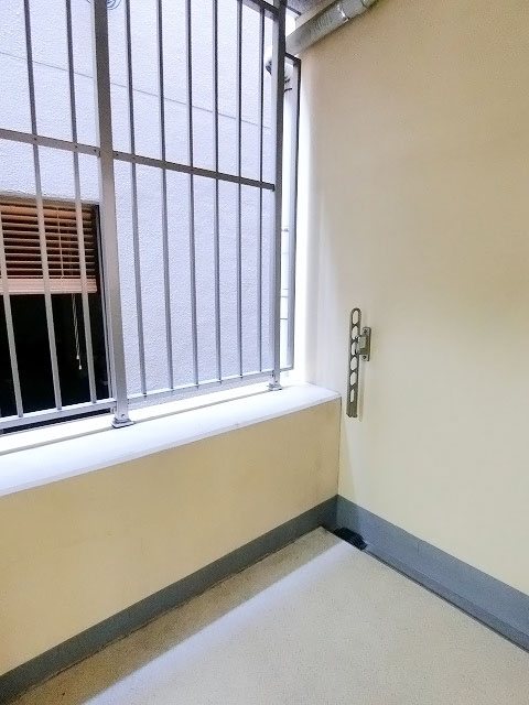 レックス赤坂レジデンス 現地写真（バルコニー）