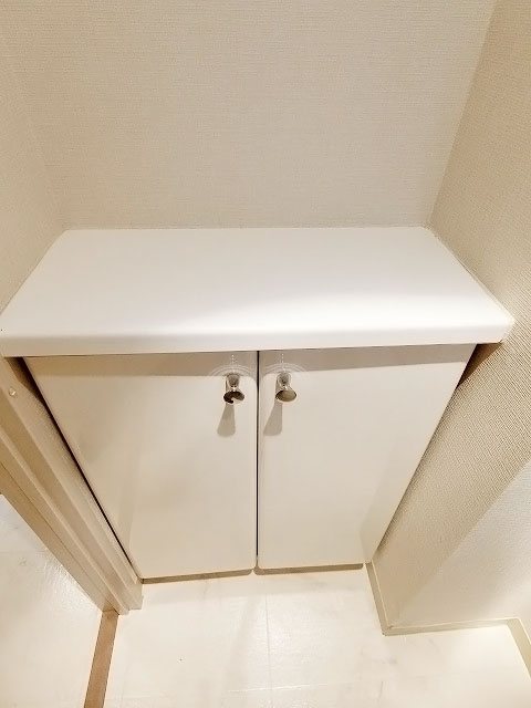 レックス赤坂レジデンス 内観写真（トイレ）
