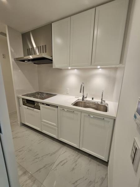 グラングリーン大坂 THE NORTH RESIDENCE 内観写真（キッチン）
