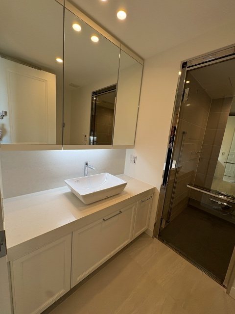 グラングリーン大坂 THE NORTH RESIDENCE 内観写真（洗面台・洗面所）