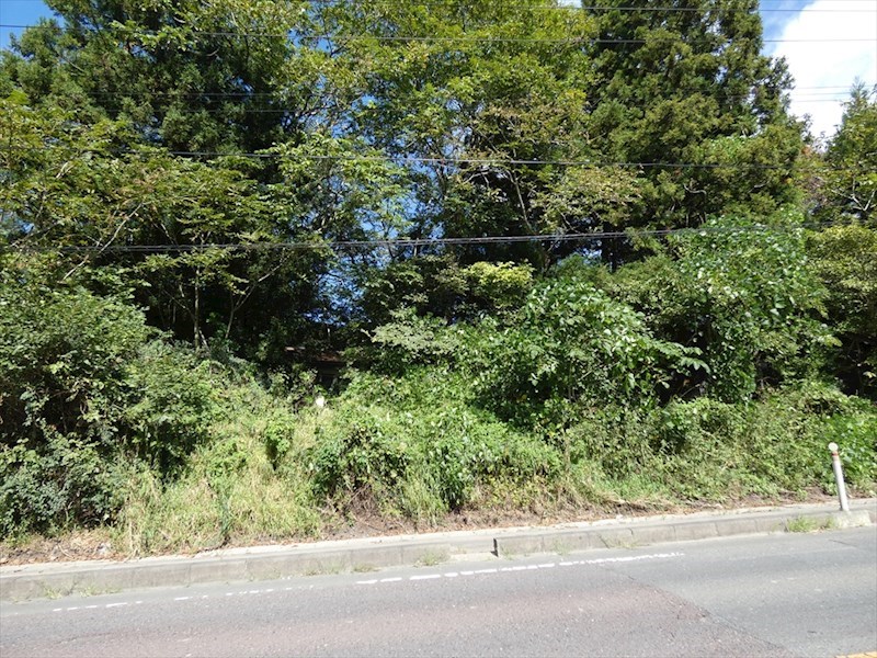 2078　上北郡東北町大字大浦字家ノ裏　土地 現地写真