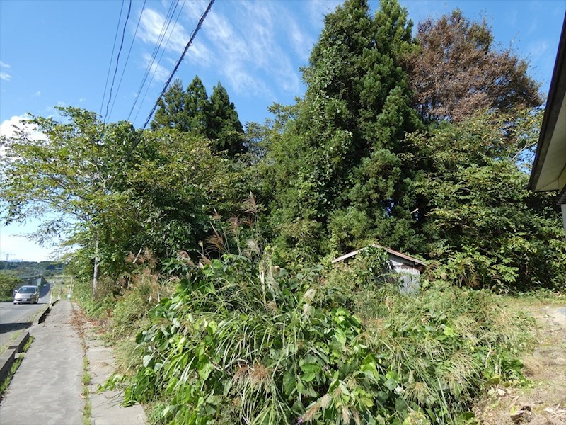 2078　上北郡東北町大字大浦字家ノ裏　土地 現地写真