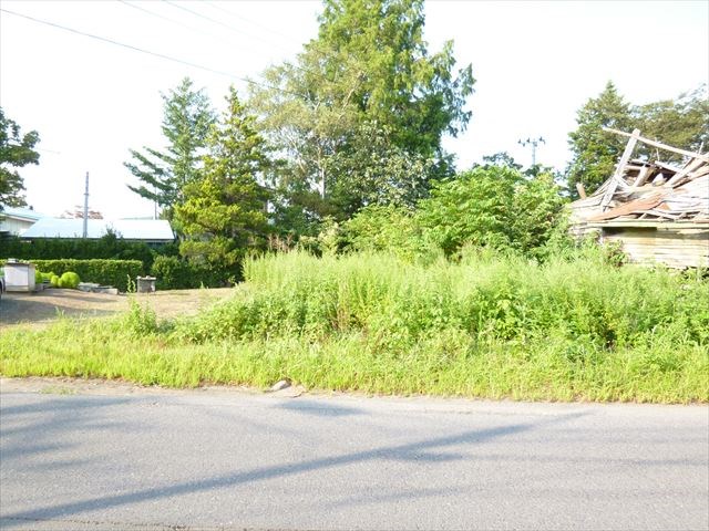 2101　青森県三戸郡南部町大字高瀬字上川原　土地 現地写真