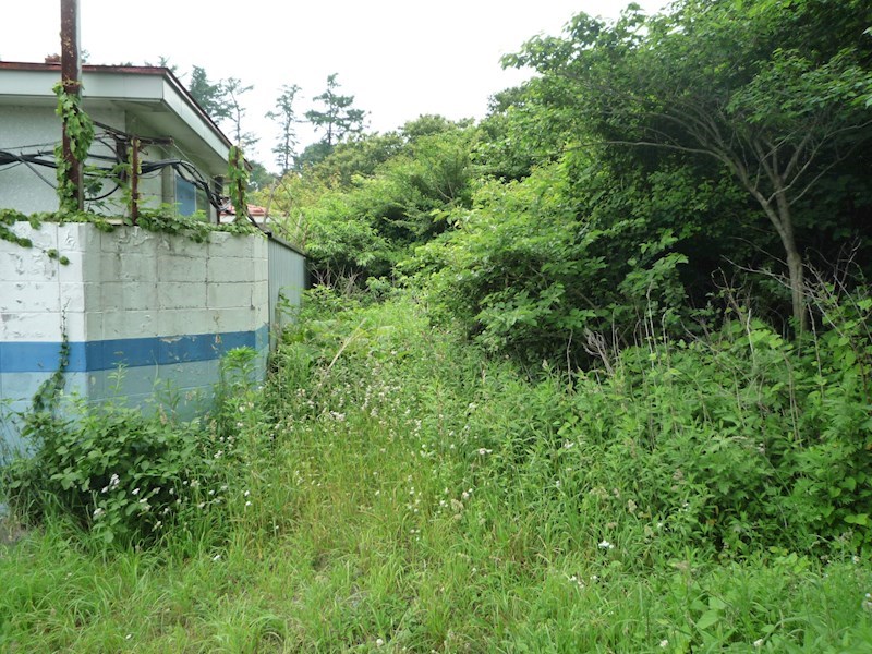 2193　三戸郡階上町蒼前東2丁目 現地写真