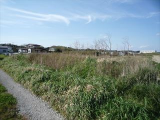 2194　青森県上北郡おいらせ町一川目１丁目 現地写真