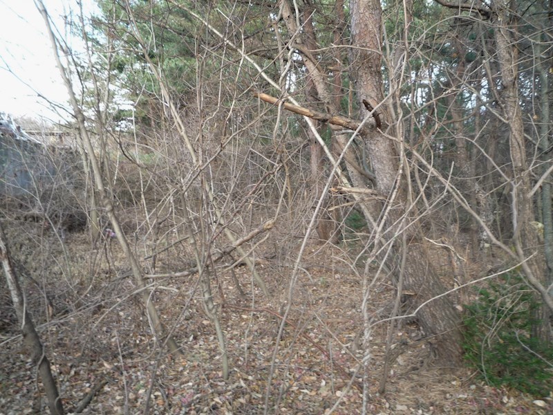 2199　青森県三戸郡階上町蒼前東２丁目 現地写真