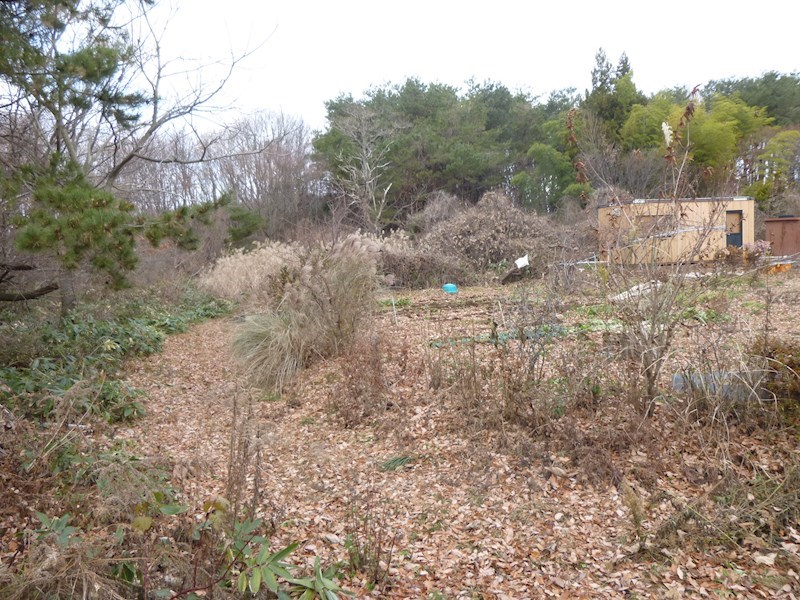 2201　青森県三戸郡階上町大字鳥屋部字沼沢　土地 現地写真