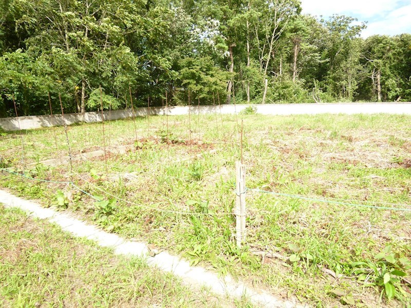 2276　三戸郡階上町大字角柄折字蝙蝠　　土地 現地写真