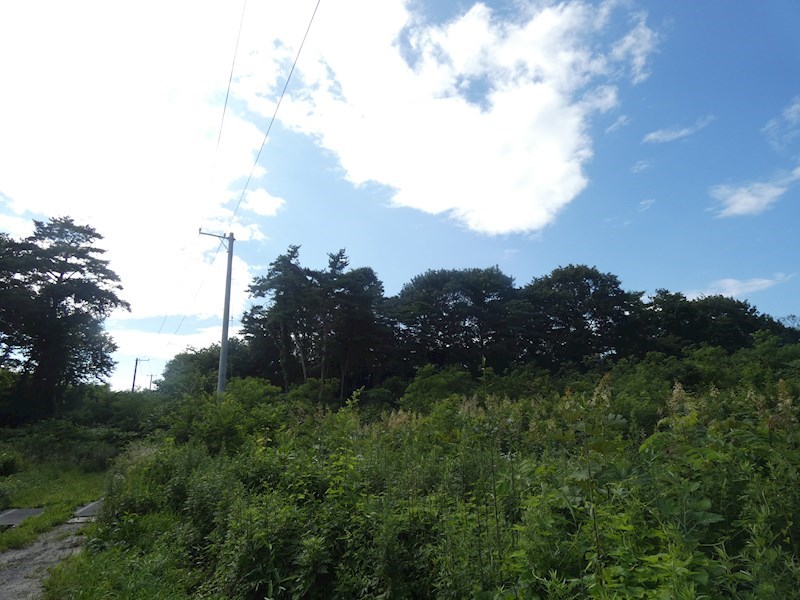 2296　三戸郡階上町蒼前東2丁目　土地 現地写真