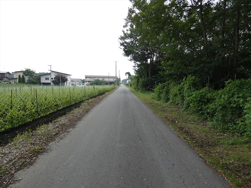 2493　上北郡六戸町大字犬落瀬字下久保 現地写真（前面道路含む現地写真）