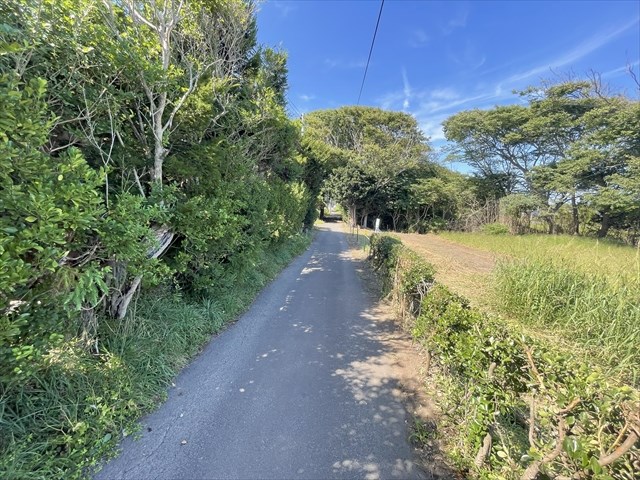 2575　上北郡おいらせ町一川目１丁目　土地 現地写真（前面道路含む現地写真）