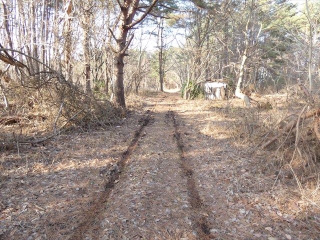 2586　八戸市大字大久保字大山　土地 現地写真（前面道路含む現地写真）