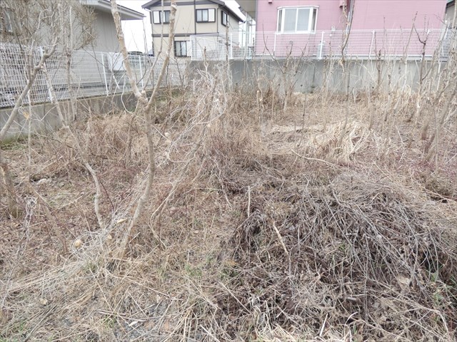 2589　上北郡六戸町大字犬落瀬字堀切沢　土地 現地写真
