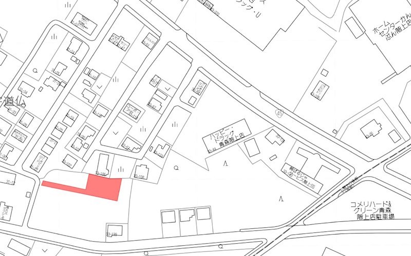 2590　三戸郡階上町大字道仏字耳ケ吠　土地 現地案内図