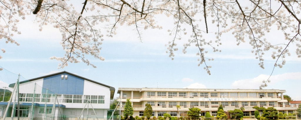 2635　三戸郡階上町蒼前西四丁目　土地 中学校