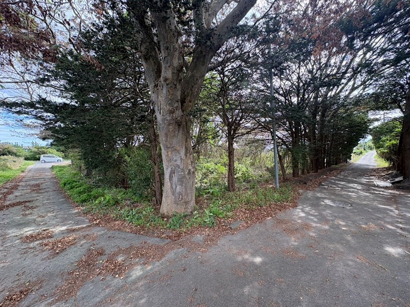 2639　上北郡おいらせ町一川目１丁目　土地 現地写真（前面道路含む現地写真）