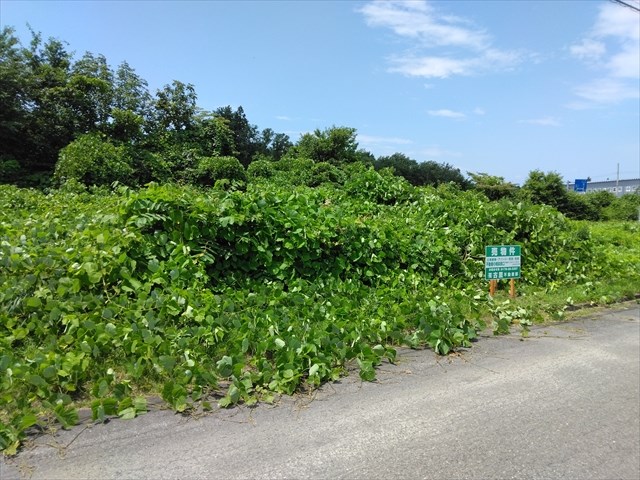2643　三戸郡階上町大字道仏字天当平　土地 現地写真