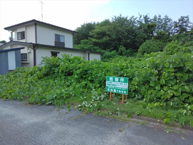 2643　三戸郡階上町大字道仏字天当平　土地 現地写真