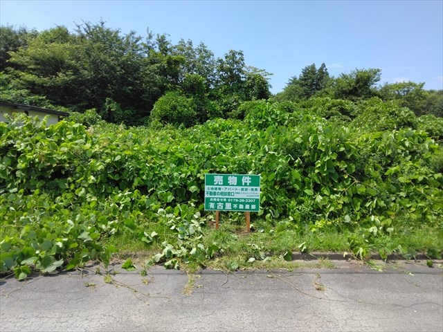 2643　三戸郡階上町大字道仏字天当平　土地 現地写真