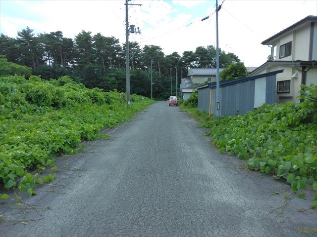 2643　三戸郡階上町大字道仏字天当平　土地 現地写真（前面道路含む現地写真）