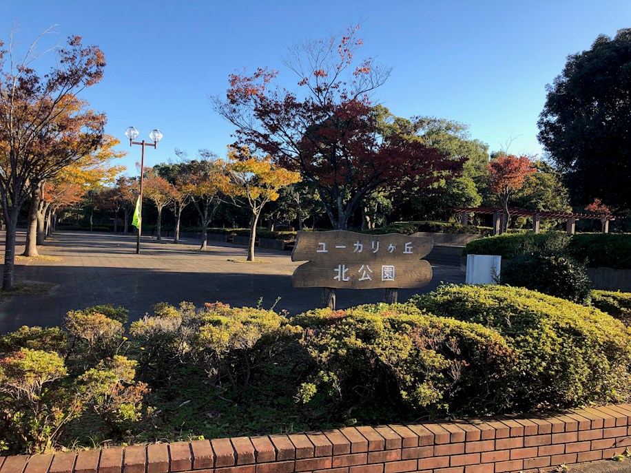 佐倉市西ユーカリが丘2-3-6　建築条件付宅地 公園