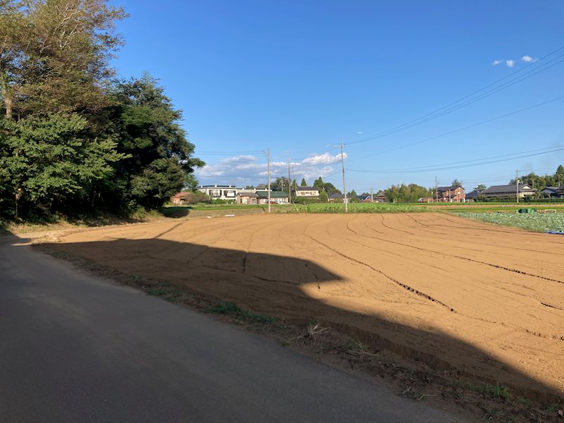 千葉県山武郡芝山町小池1339 現地写真