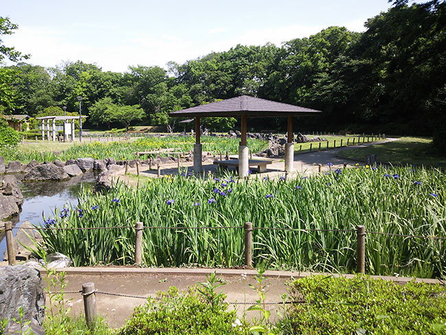 【リガーレ・富里市御料1期】（全3棟）平屋　2号棟 公園